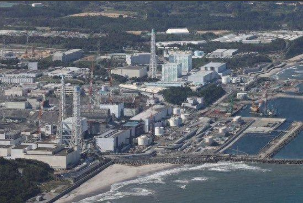 一场全球生态灾难正在上演