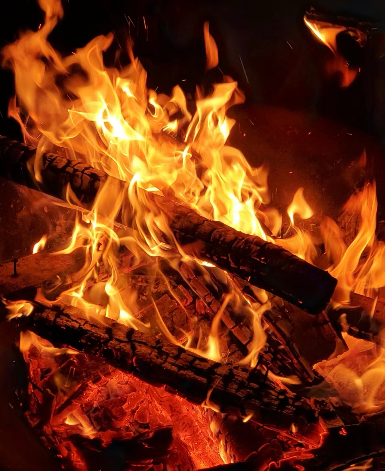 Brazil’s Amazon region records record number of fires, with human activity and El Niño as the main causes