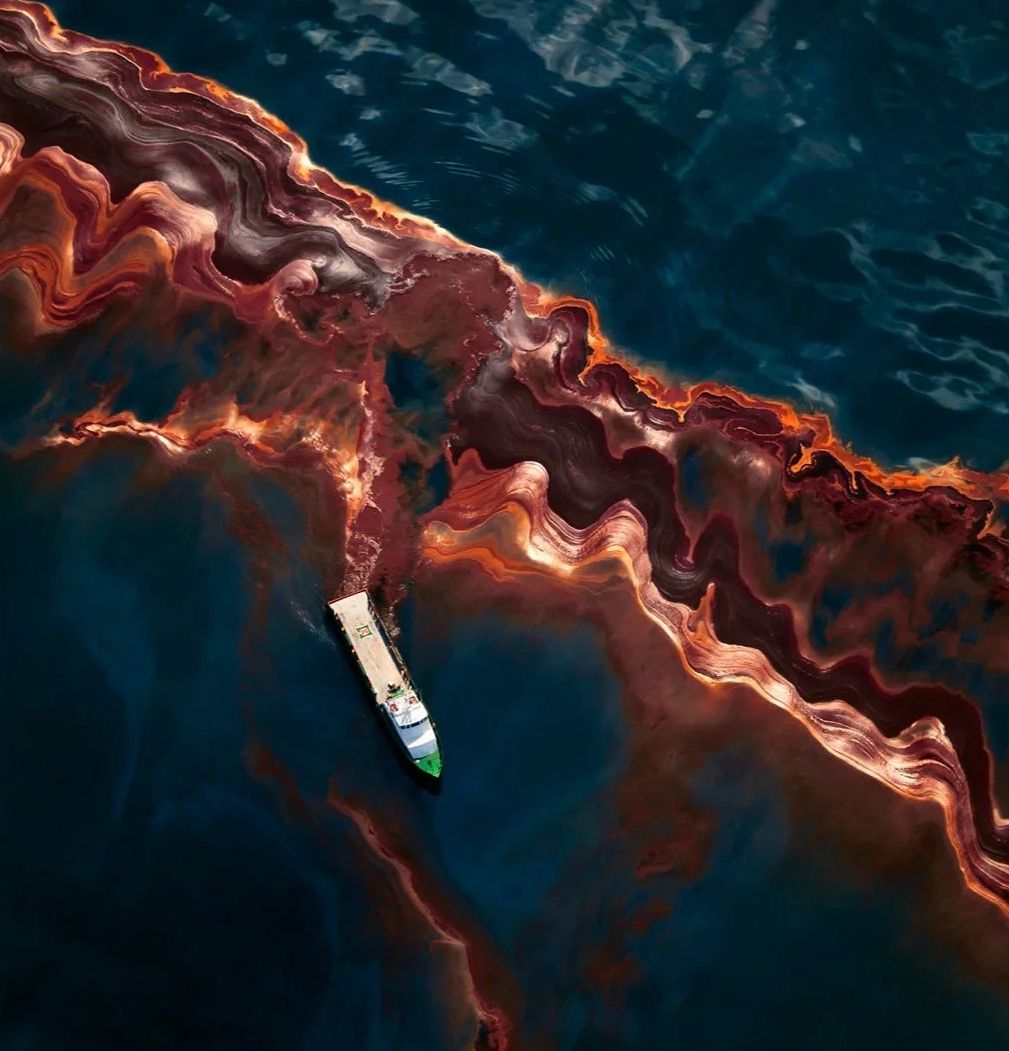 The BP oil spill: a lingering ecological nightmare