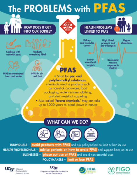 PFAS in North America’s Great Lakes: An Enduring Ecological Crisis