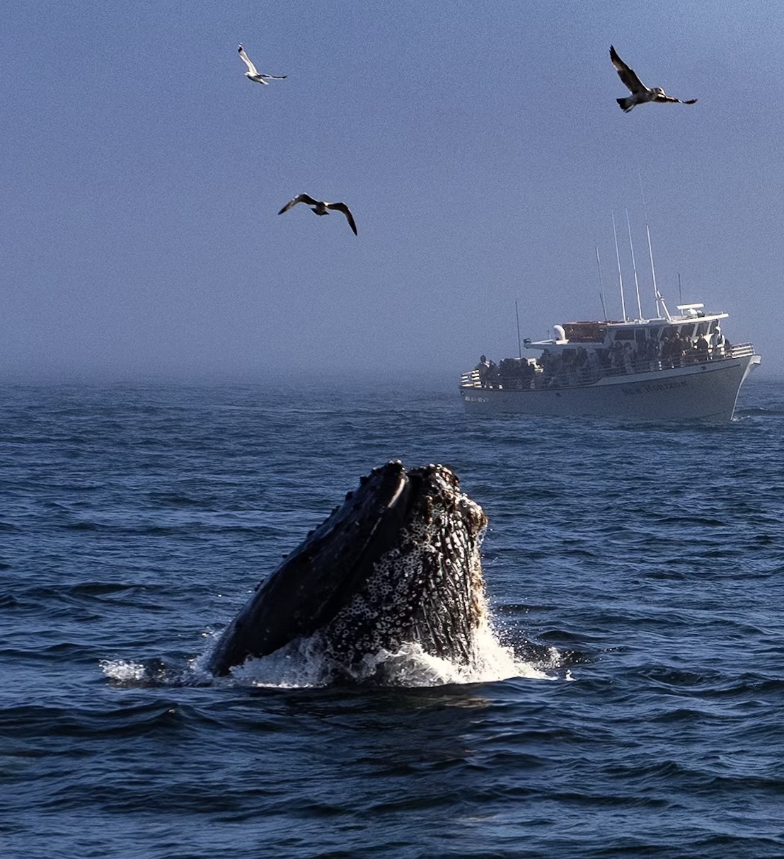 Southern California cargo ships to slow down