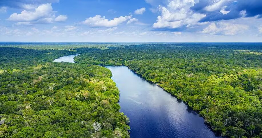 Conservation of Brazil’s rainforests on the horizon: deforestation declines significantly