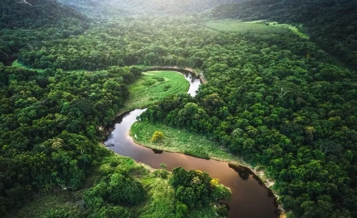 World Bank Amazon Reforestation Bond
