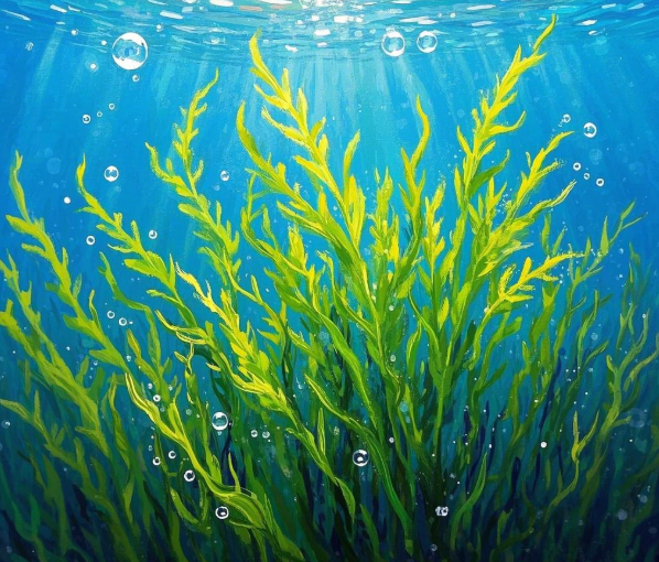 World Seagrass Day calls for seagrass protection