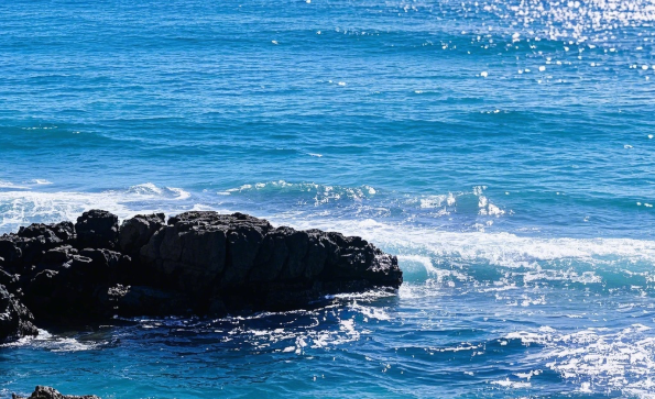 China-France Joint Statement Strengthens Cooperation on Marine Conservation