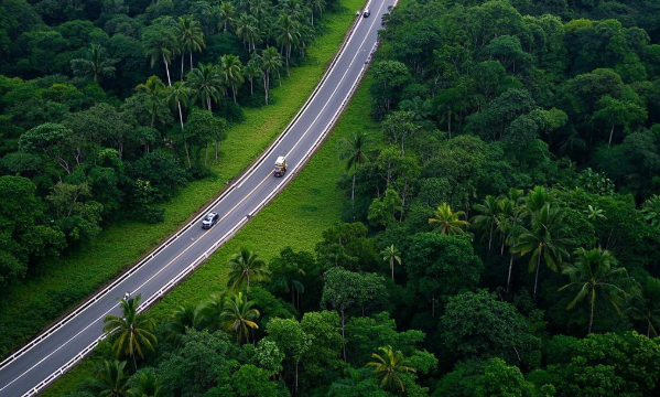 Brazil’s ‘deforestation road’ controversy for climate summit