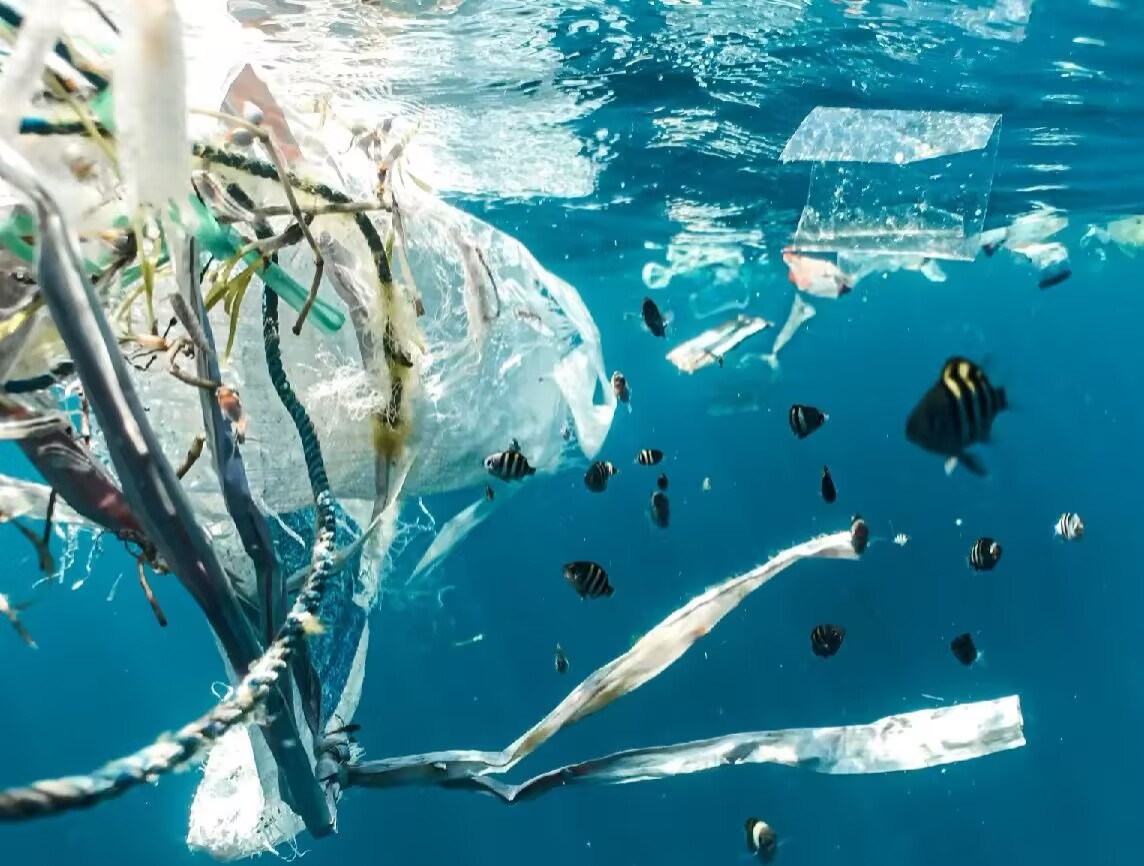 Plastic Waste Dumping Scandal in Indonesia