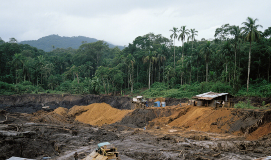 Peatland destruction accelerating in the Amazon