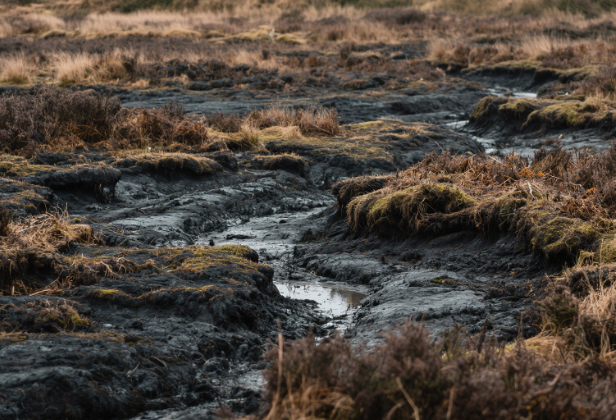 Vulnerability under climate change