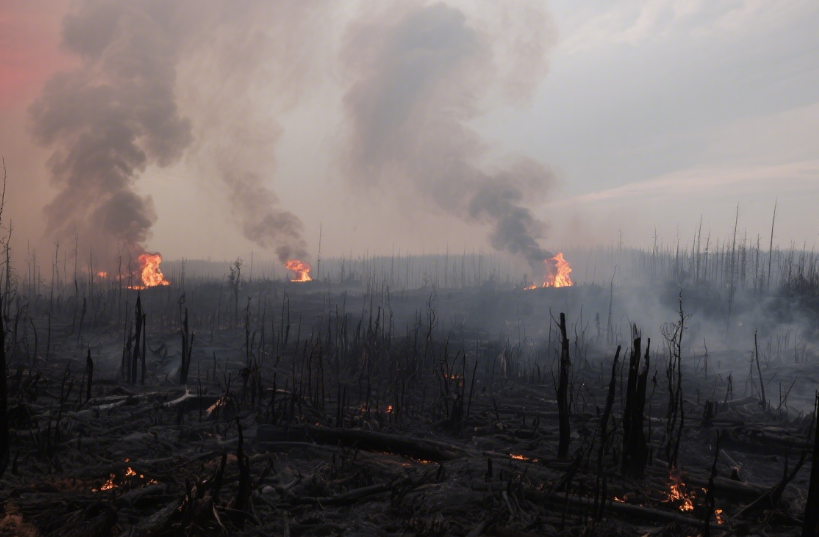 Canada’s Forest Fire Crisis