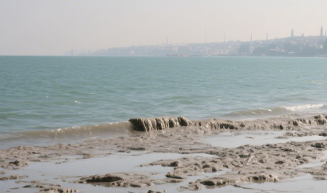 Sea Snot Crisis in the Marmara Sea Continues to Worsen