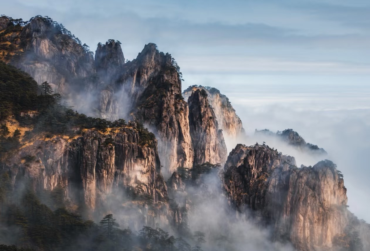 IUCN World Conservation Congress