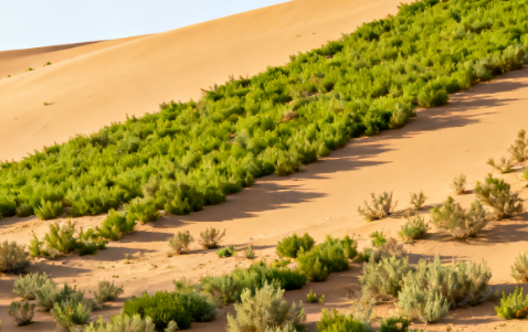 Ecological Restoration and Green Energy: A Win-Win Solution