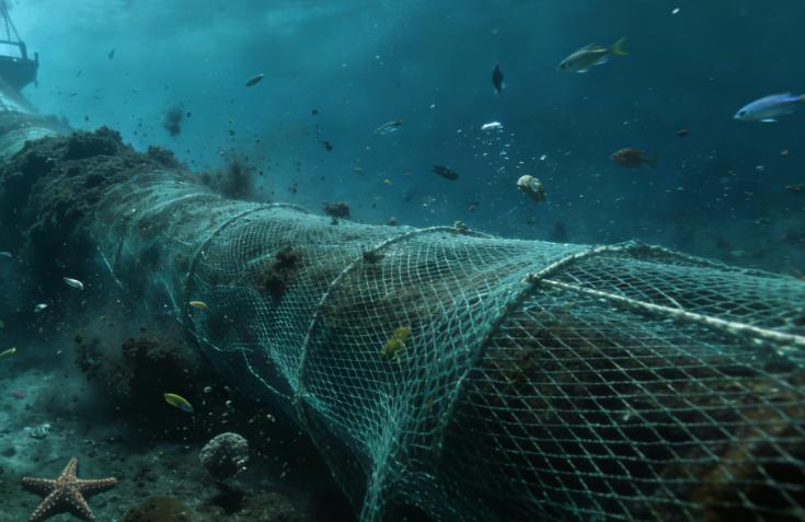 Trawling intensifies mercury release from the ocean