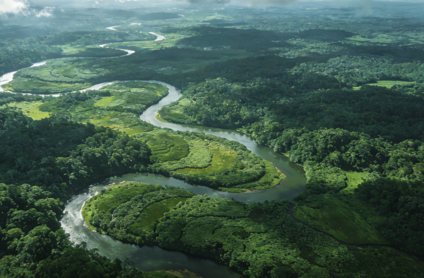 Amazon Rainforest AI Deforestation Prevention Technology Gains International Recognition