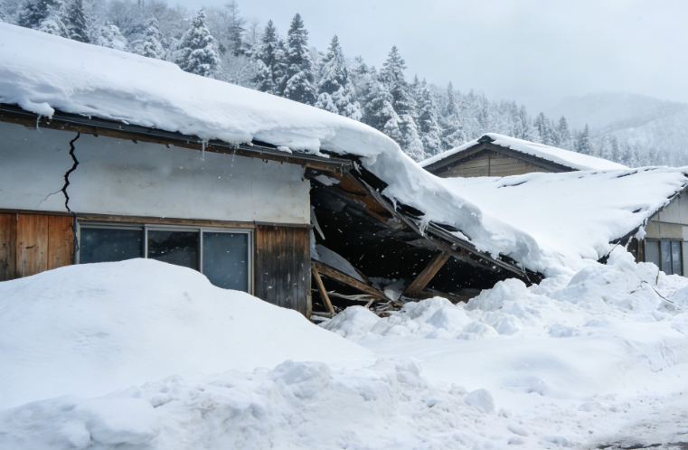 Yamanashi and Nagano Prefectures Hit by Historic Blizzard
