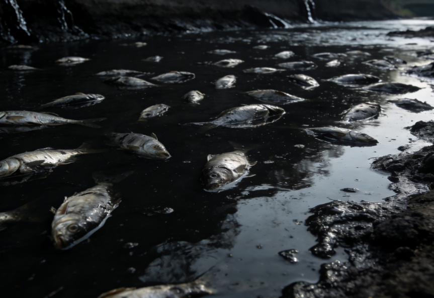 Wastewater Spill in South Africa’s Isipingo River