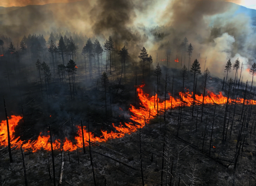 Massive Wildfire in Argentina’s National Park