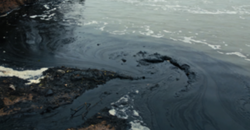 Potomac River Sewage Spill Persists as Long-Term Threat