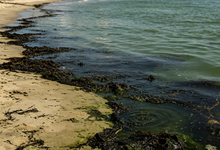 San Diego, California: Sewage Pollutes the Coast