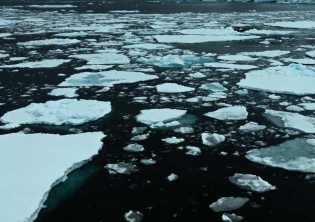 Antarctic Sea Ice Extent Nears Record Low