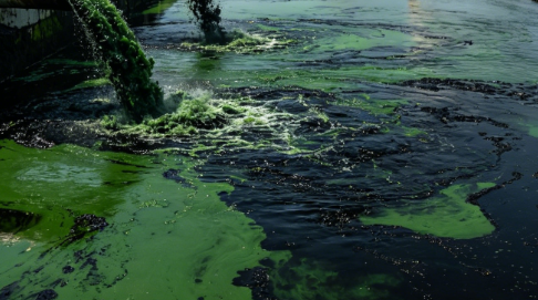 Industrial Waste in California’s San Francisco Bay Area Contaminates Drinking Water