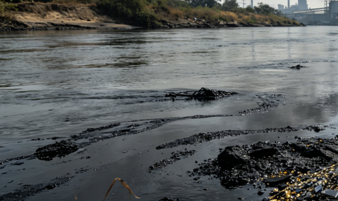 Heavy Metal Pollution in Thailand’s Kok River