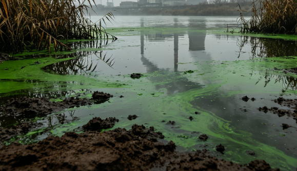 Compound Pollution from Heavy Metals and Pesticides in Italy’s Po River