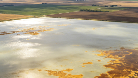 Widespread Nitrate Contamination in Groundwater Across the U.S. Midwest