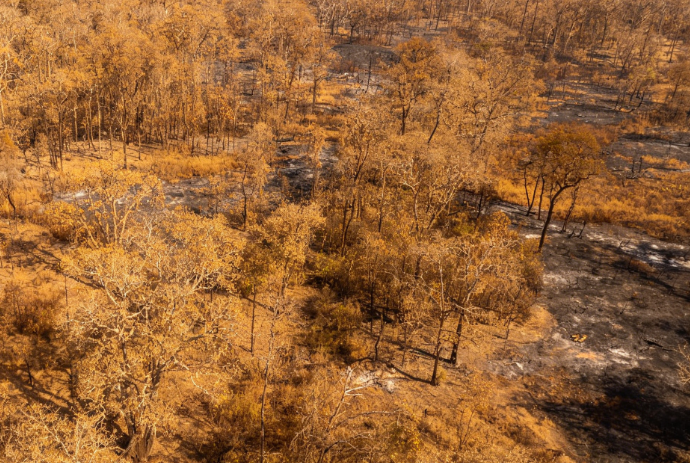 Amazon Dry Season Significantly Lengthening