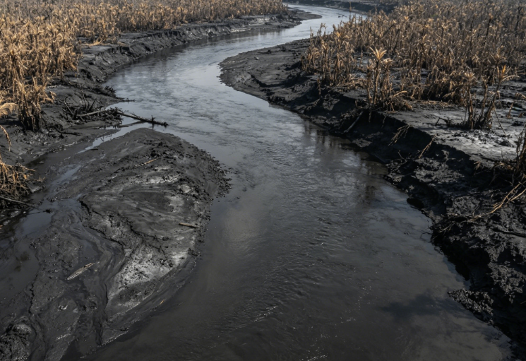 Mercury Pollution in the Amazon