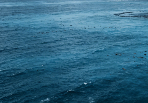 Multiple Pacific Nations Jointly Protest the Discharge of Radioactive Water from Fukushima into the Ocean