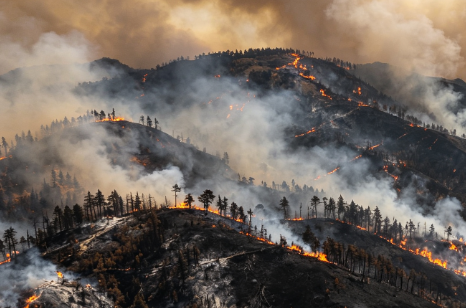Smoke from California Wildfires Sweeps Through Multiple Cities on the West Coast