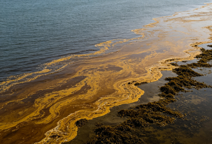 Pollution Risks in Enclosed Waters