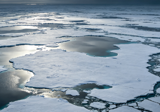 Arctic Snow Accumulates Persistent Organic Toxins