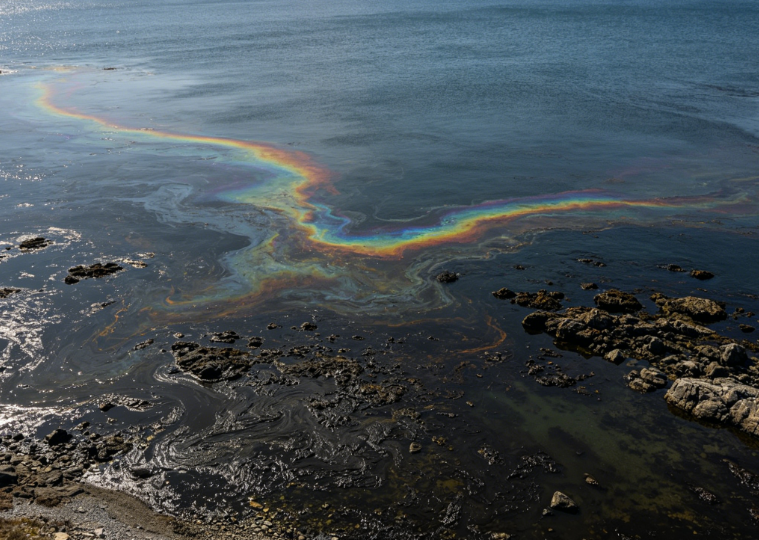 Bilge Oil Pollution at a Port in Russia’s Far East
