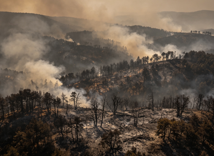 Forest Fires Rage in the Arcachon Basin, France