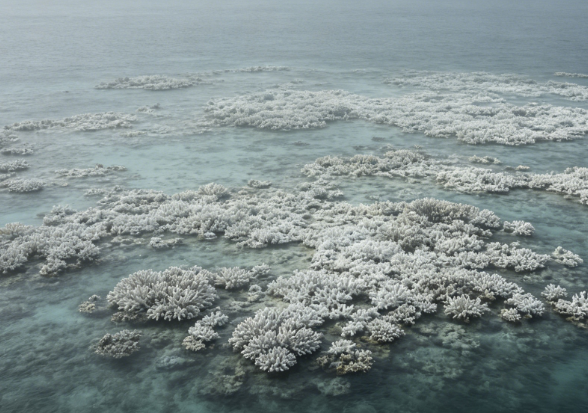 Extreme Marine Heat Waves Hit Multiple Regions Around the World