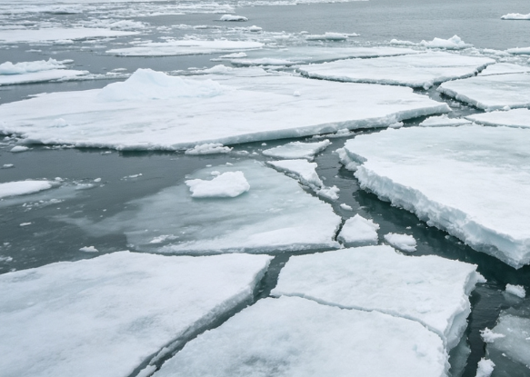 Black Carbon from Canadian Wildfires Deposits Transoceanically on Polar Glaciers
