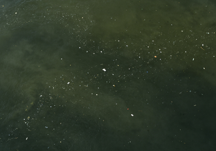 Microplastics from Tires Found Throughout Florida’s Rivers
