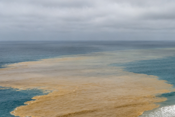 Cross-Border Sewage Pollution in the Tijuana River Continues to Worsen