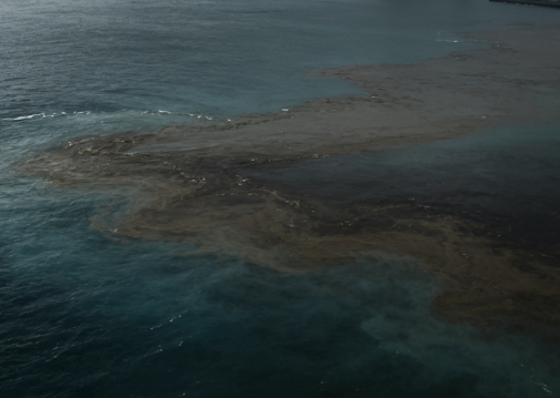 Fukushima Completes 22nd Round of Radioactive Water Discharge into the Ocean