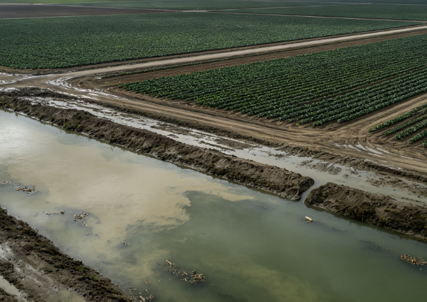 California Vegetables Trigger Interstate Outbreak