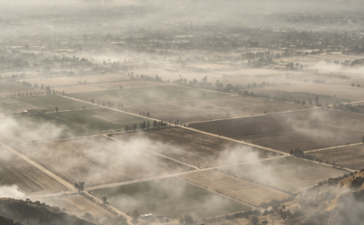 Thick Smoke from Farmland Fires in California