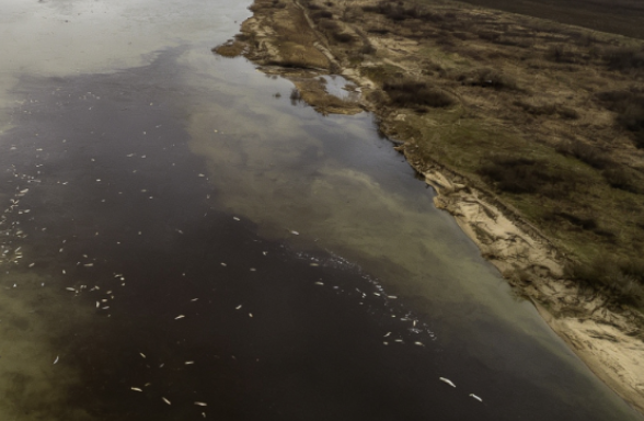 Chemical Plant Wastewater Leak in a Tributary of the Oder River in Poland