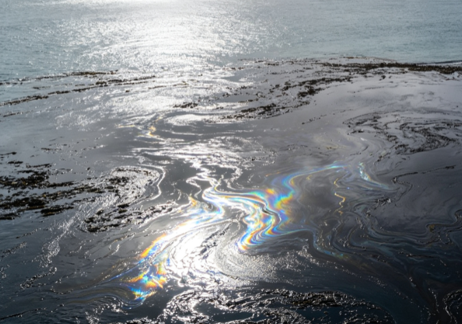 Diesel Spill from Cargo Ship Off the Coast of Auckland, New Zealand