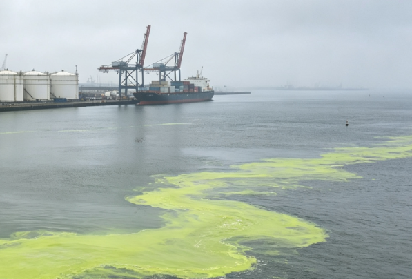 Liquid Chlorine Container Leak at the Port of Rotterdam