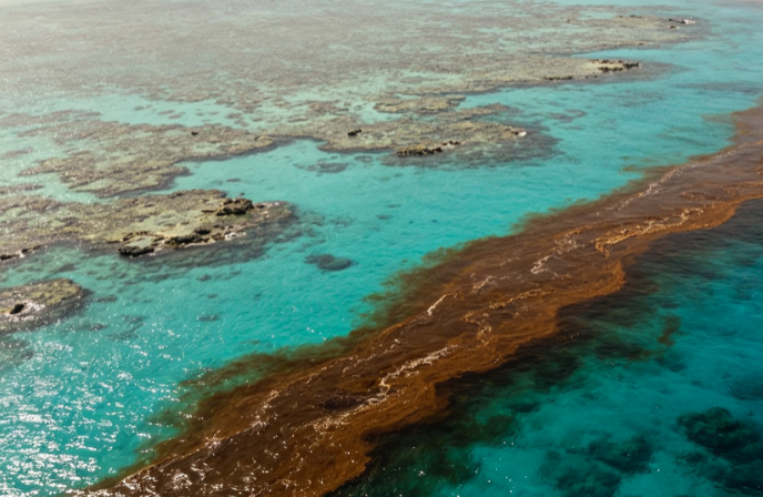 Fuel Leak on a Tourist Cruise Ship in Egypt’s Red Sea