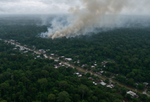Showers in Amazonas State Have Temporarily Cleared the Haze, but 42 Cities Remain Under a State of Emergency Due to Rainforest Fires