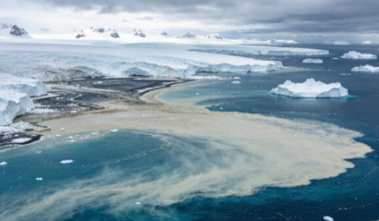 Rapid Glacial Melting Disrupts the Marine Food Chain, Which Faces Heavy Metal Pollution
